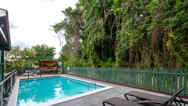 A swimming pool with lounge chairs and a small table, surrounded by a green fence and dense foliage.