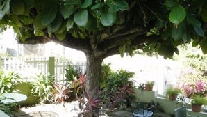 A patio area with a tree, potted plants, and outdoor seating.