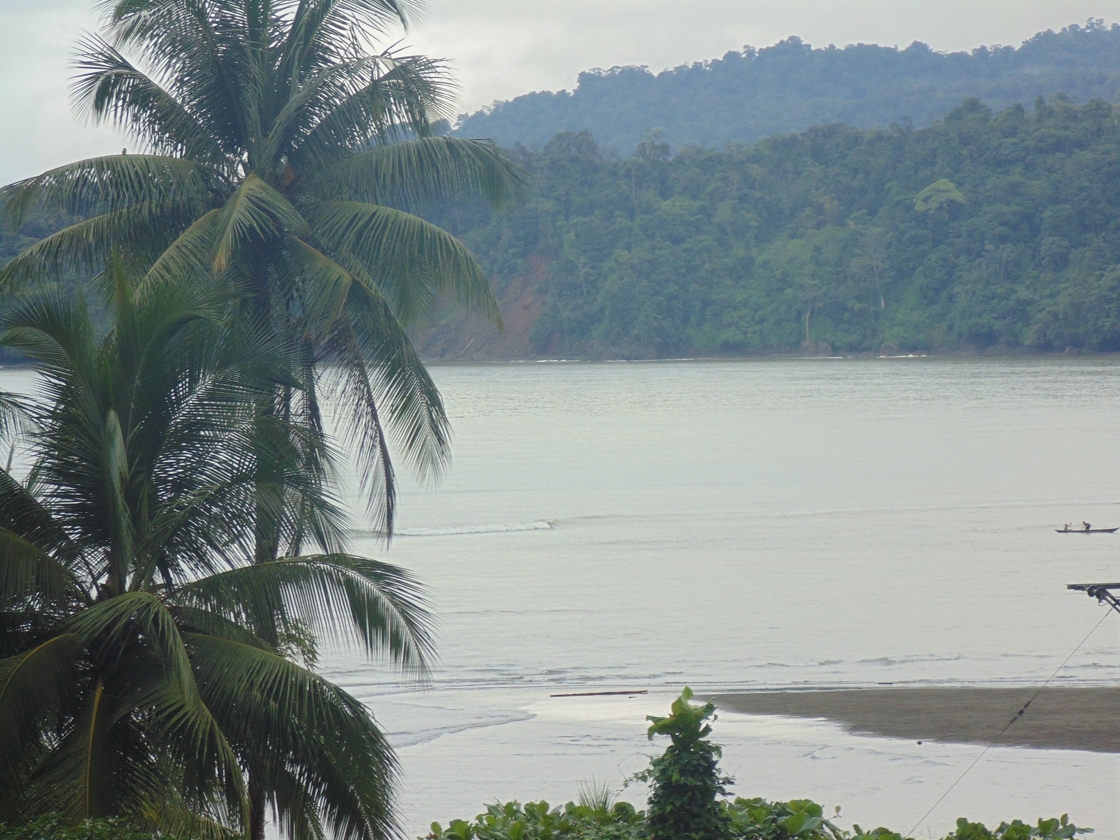A beach with palm trees and a boat in the water.