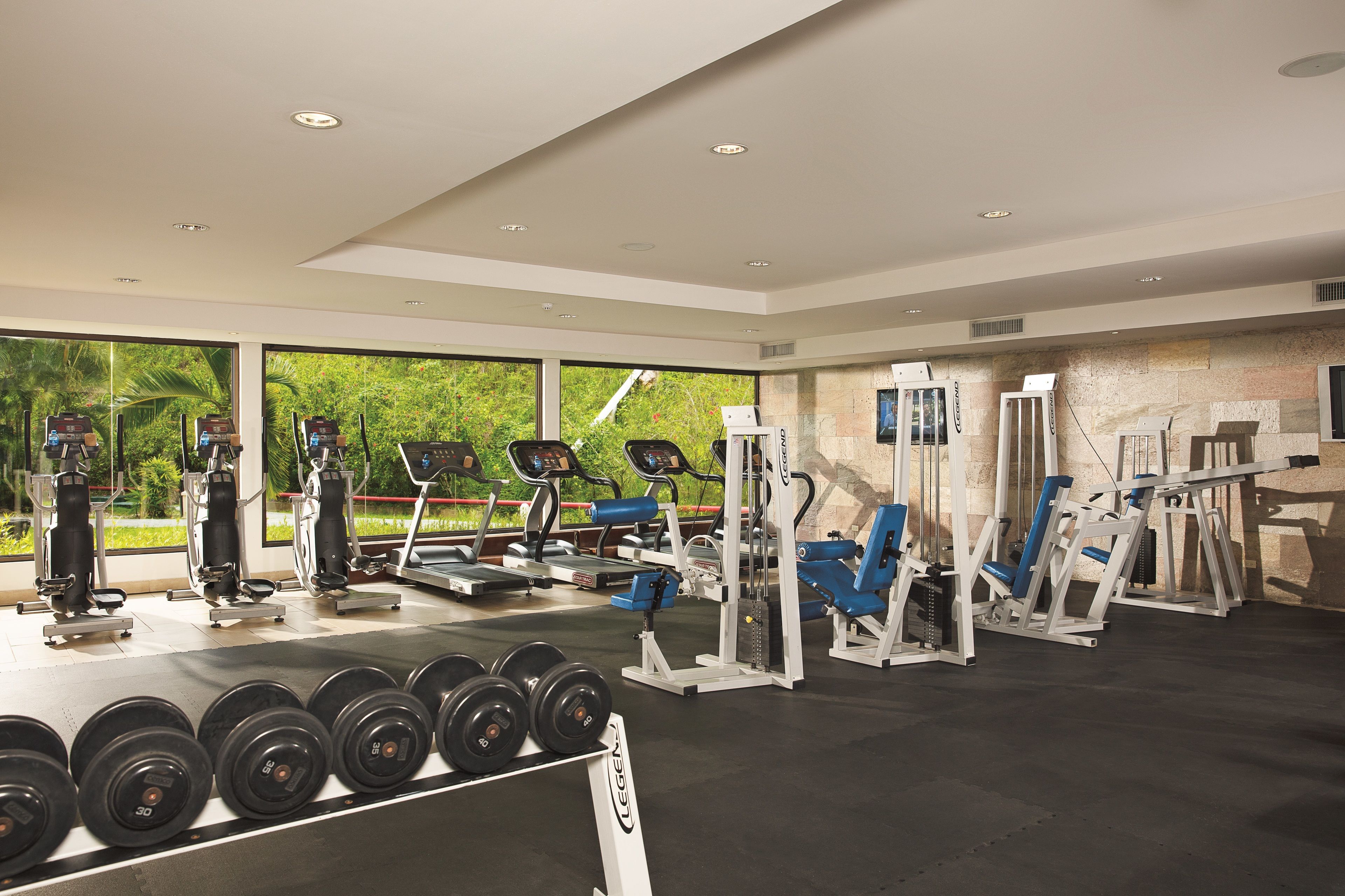 A modern gym with various exercise equipment, large windows, and a view of greenery.