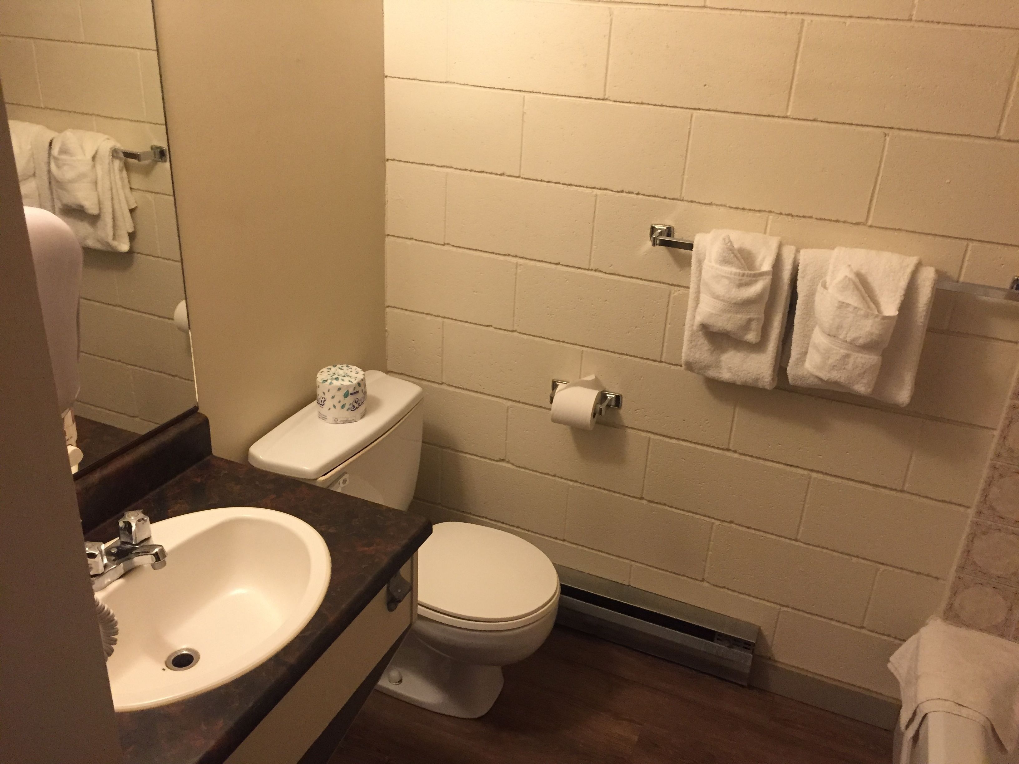 Standard Room, 1 Queen Bed, Mountain View | Desk, iron/ironing board, free WiFi