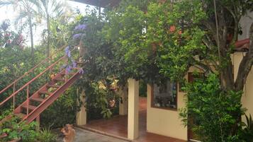 A covered outdoor area with a staircase, surrounded by lush greenery and potted plants.