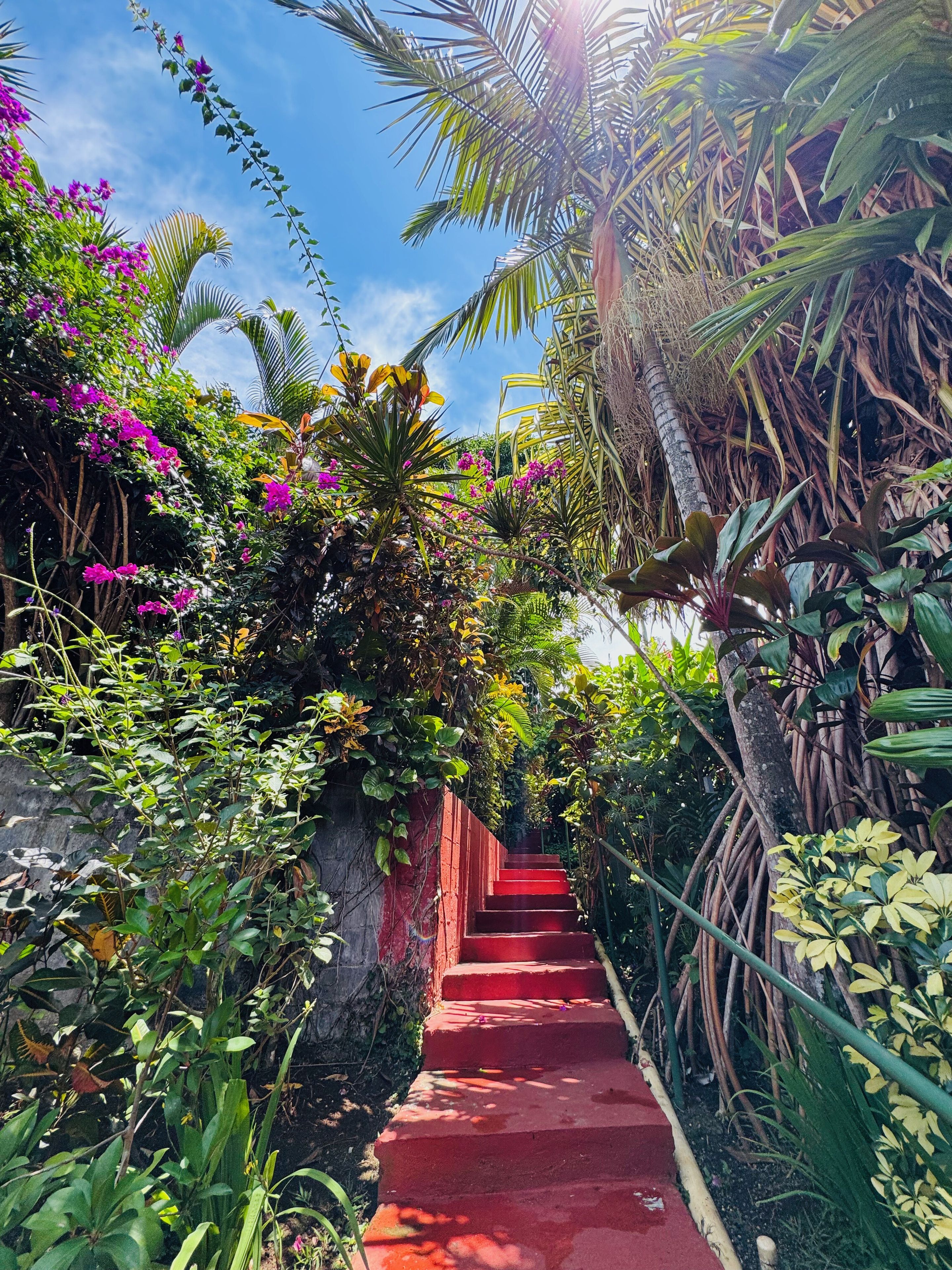 A staircase surrounded by lush greenery and flowering plants.