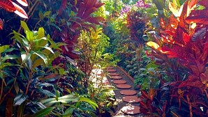 A garden pathway with stepping stones surrounded by lush tropical foliage. - Eden Atenas (Mercedes)