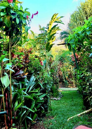 A lush garden with various tropical plants and a well-maintained lawn. - Eden Atenas (Mercedes)