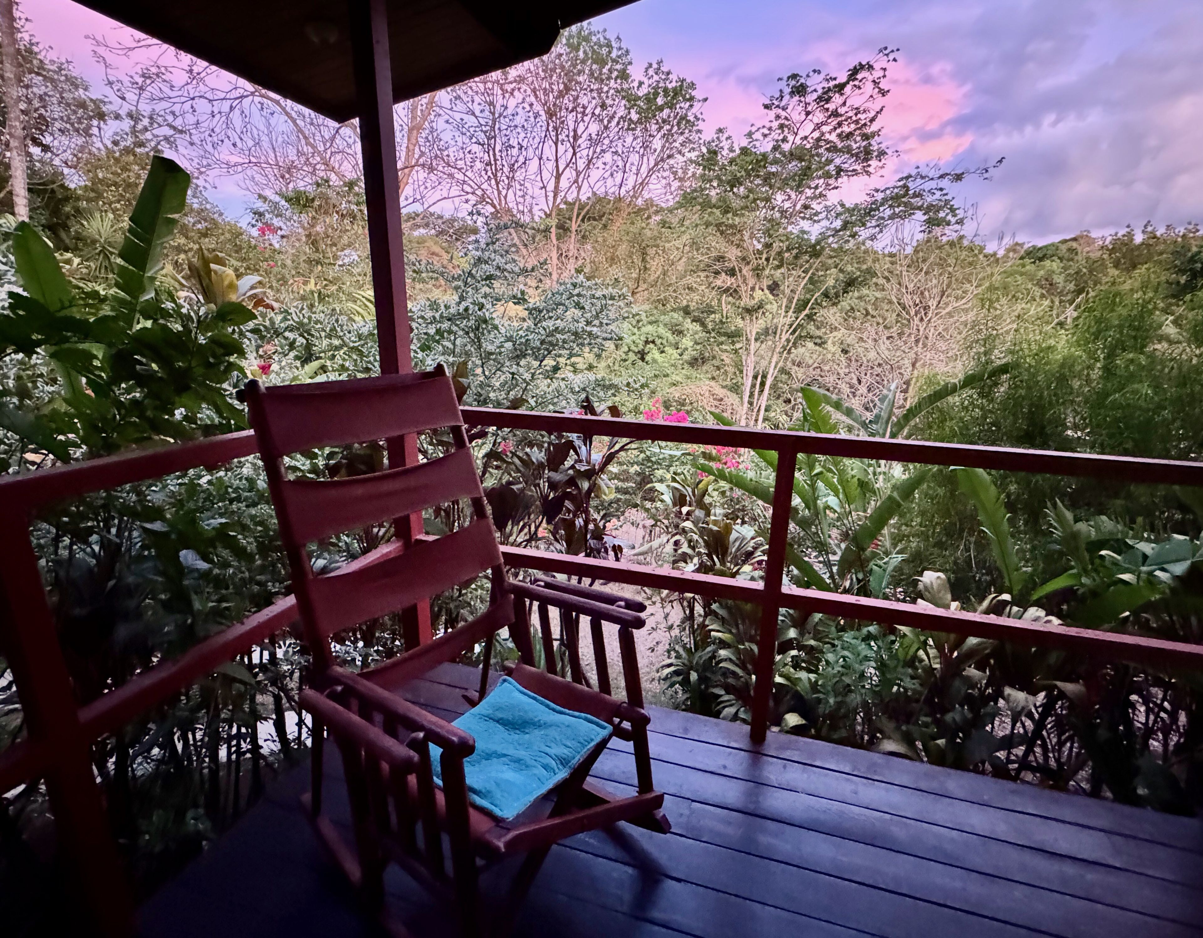 A wooden deck with a red chair and a blue cushion, overlooking a lush garden with various plants and trees.