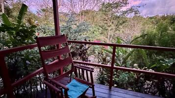 Una terraza de madera con una silla roja y un cojín azul, con vistas a un jardín exuberante con diversas plantas y árboles.