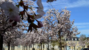 Front of property - Logis Hôtel Rabelais (Tours)