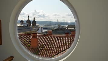 Vista desde la propiedad