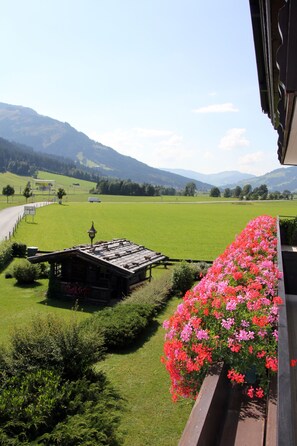 View from property - Pension Franglhof (Kirchberg in Tirol)