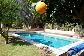 Outdoor pool - Dar Zitoune (Taroudant)