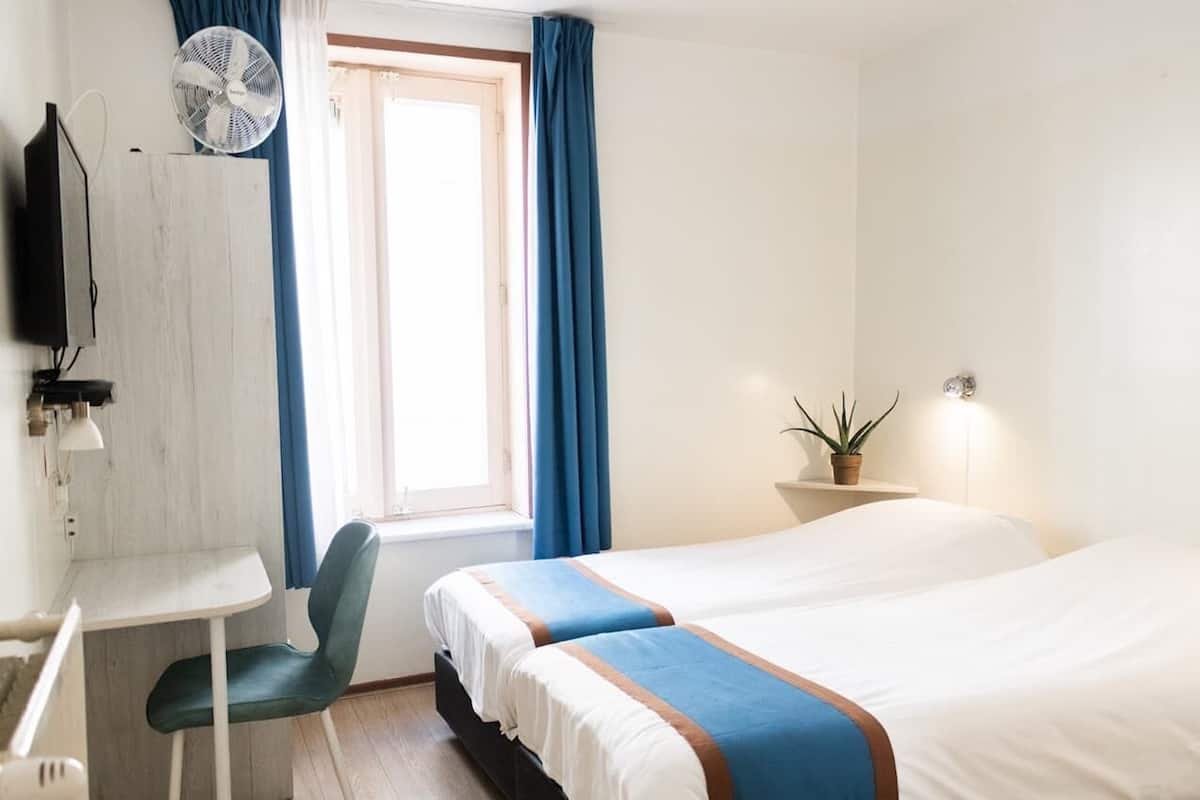 A hotel room with a bed, a desk, a chair, a TV, a fan, a window with curtains, and a potted plant.