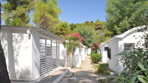 A narrow pathway leading to white buildings with shutters, surrounded by greenery and trees. - Villaggio Capo Vieste Camping (Vieste)