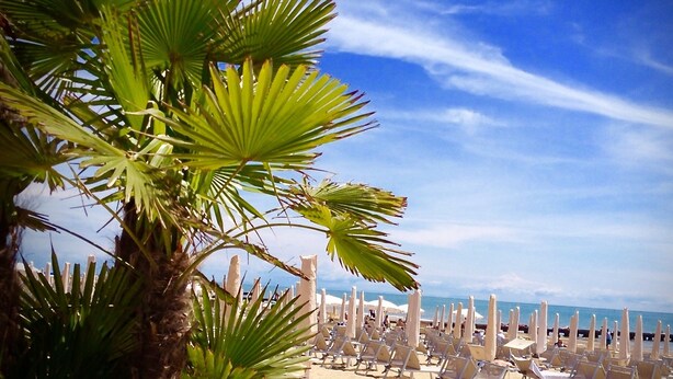 A beach with rows of sun loungers and umbrellas, palm trees, and a clear blue sky. - Principe Palace (Jesolo)