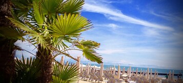 Vista desde la propiedad