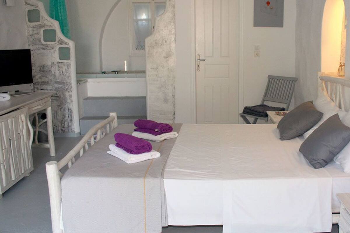 Executive Room | Minibar, WiFi (free)