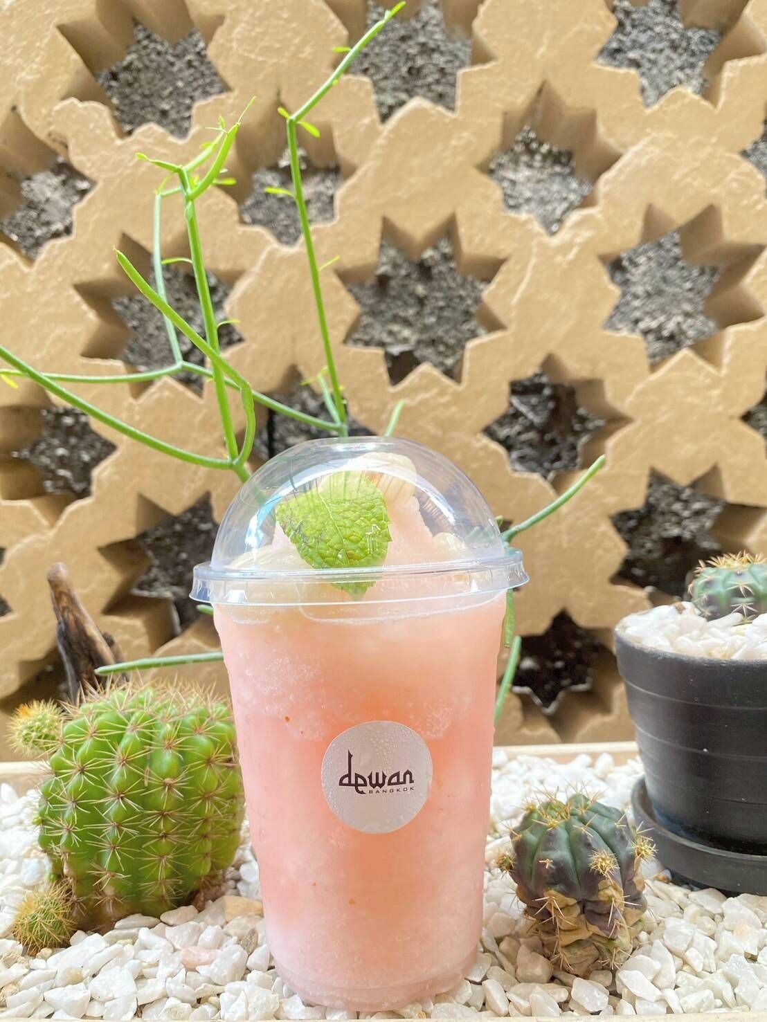 A beverage in a clear plastic cup with a mint garnish, surrounded by cacti and decorative stones.
