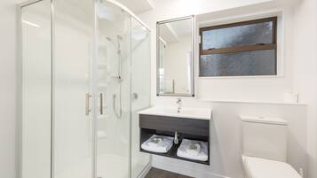 A modern bathroom with a glass shower enclosure, a white sink, a mirror, and a toilet.