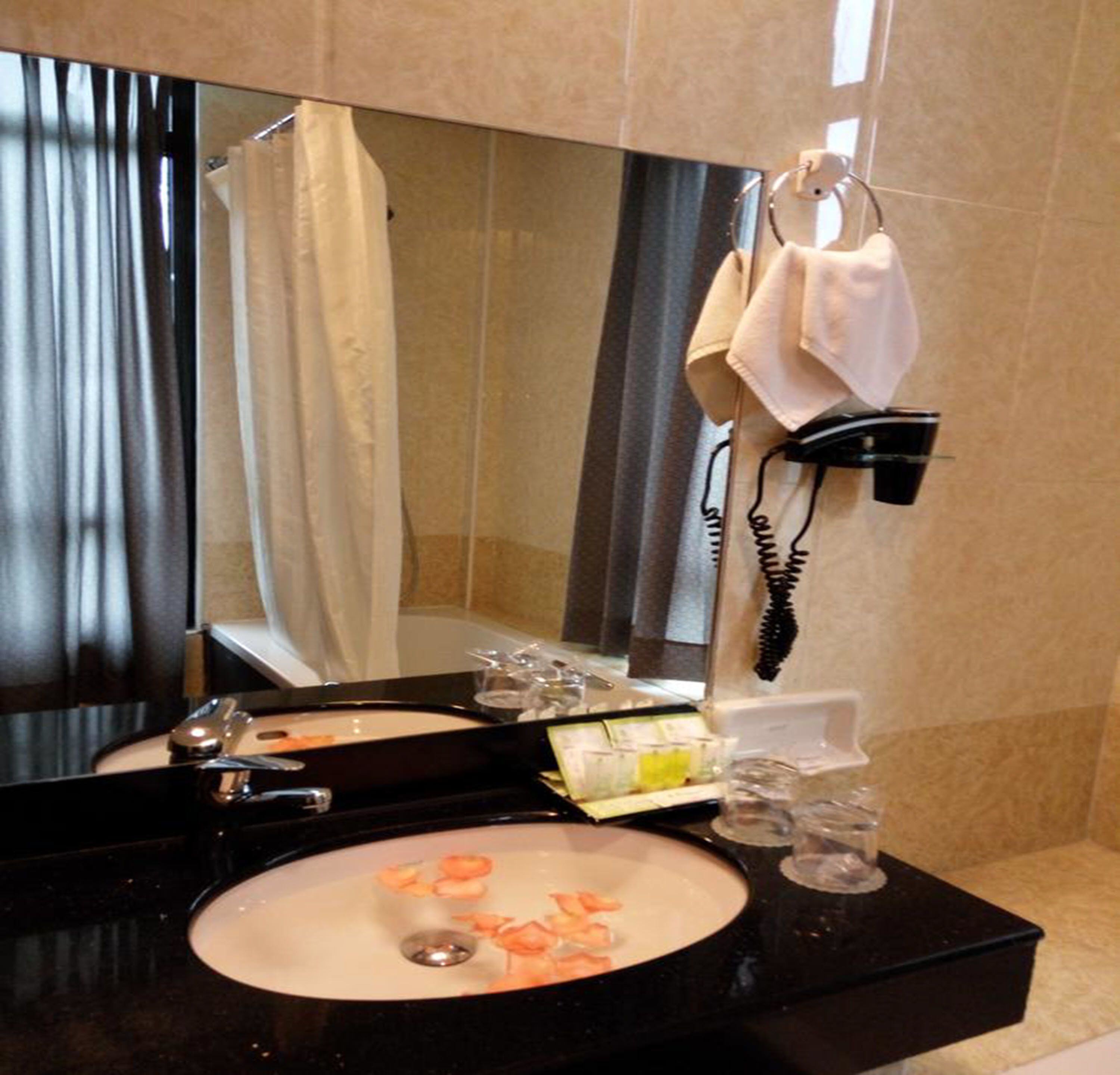 suite | bathroom sink