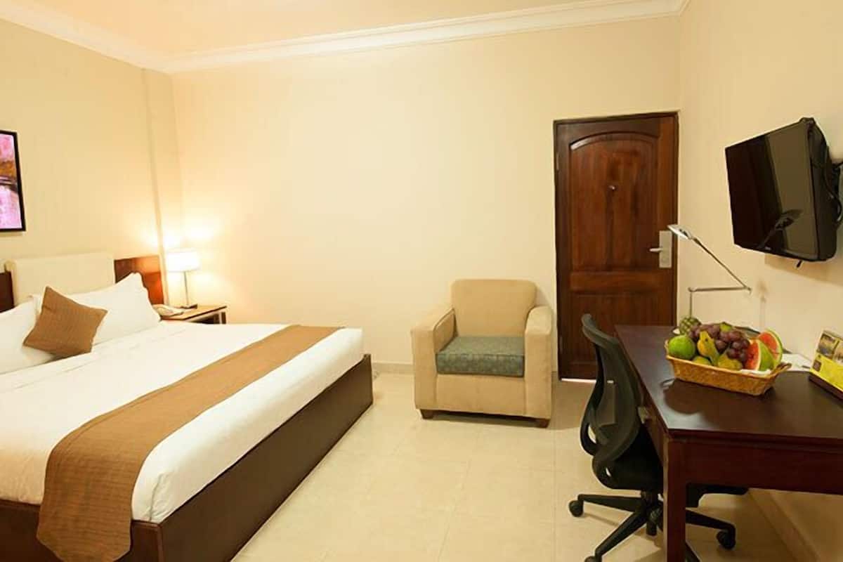 A hotel room with a bed, a chair, a desk with a fruit basket, a television, and a door.
