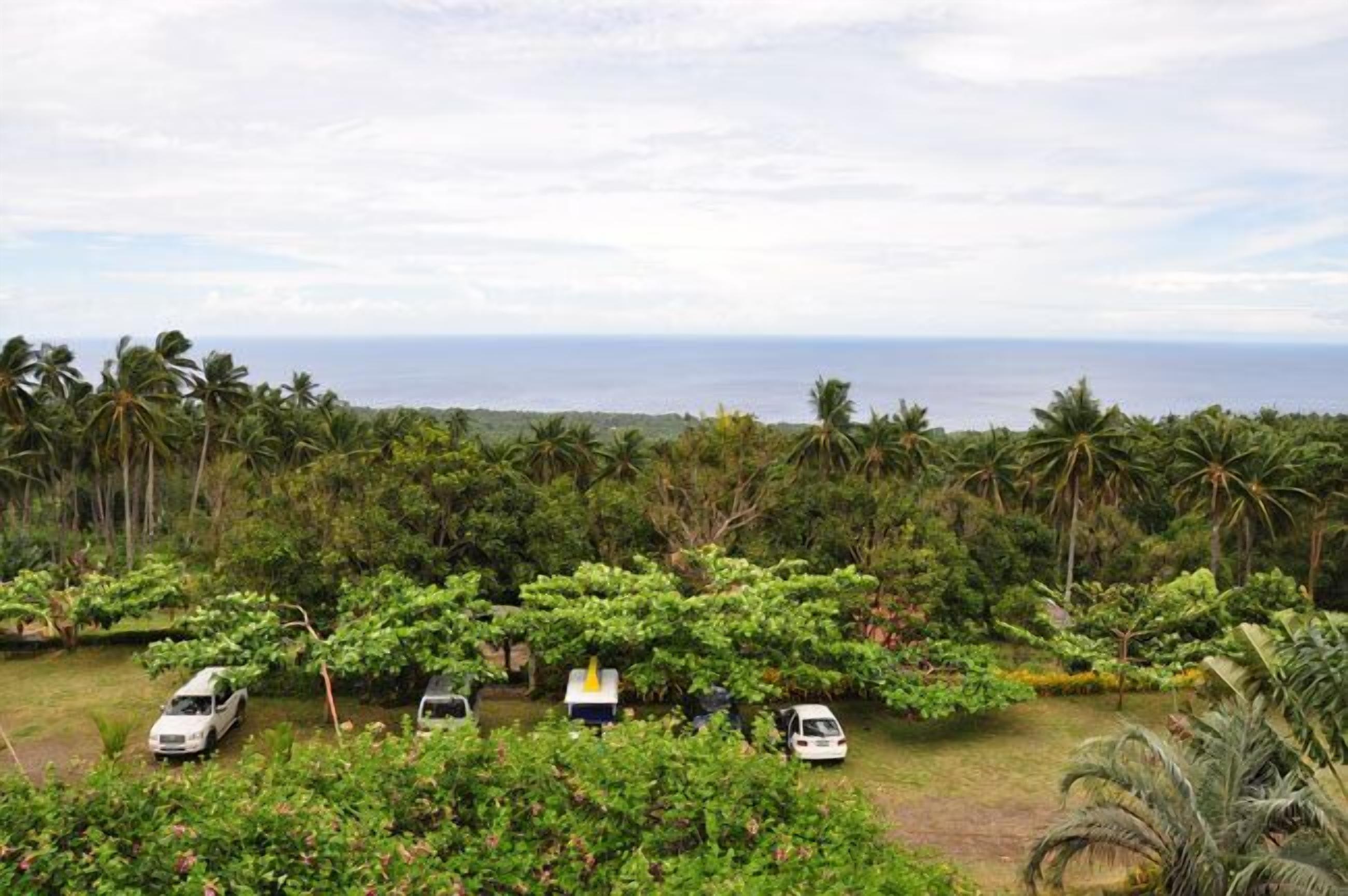Un paisaje tropical exuberante con vista al océano, varios coches aparcados y vegetación densa.