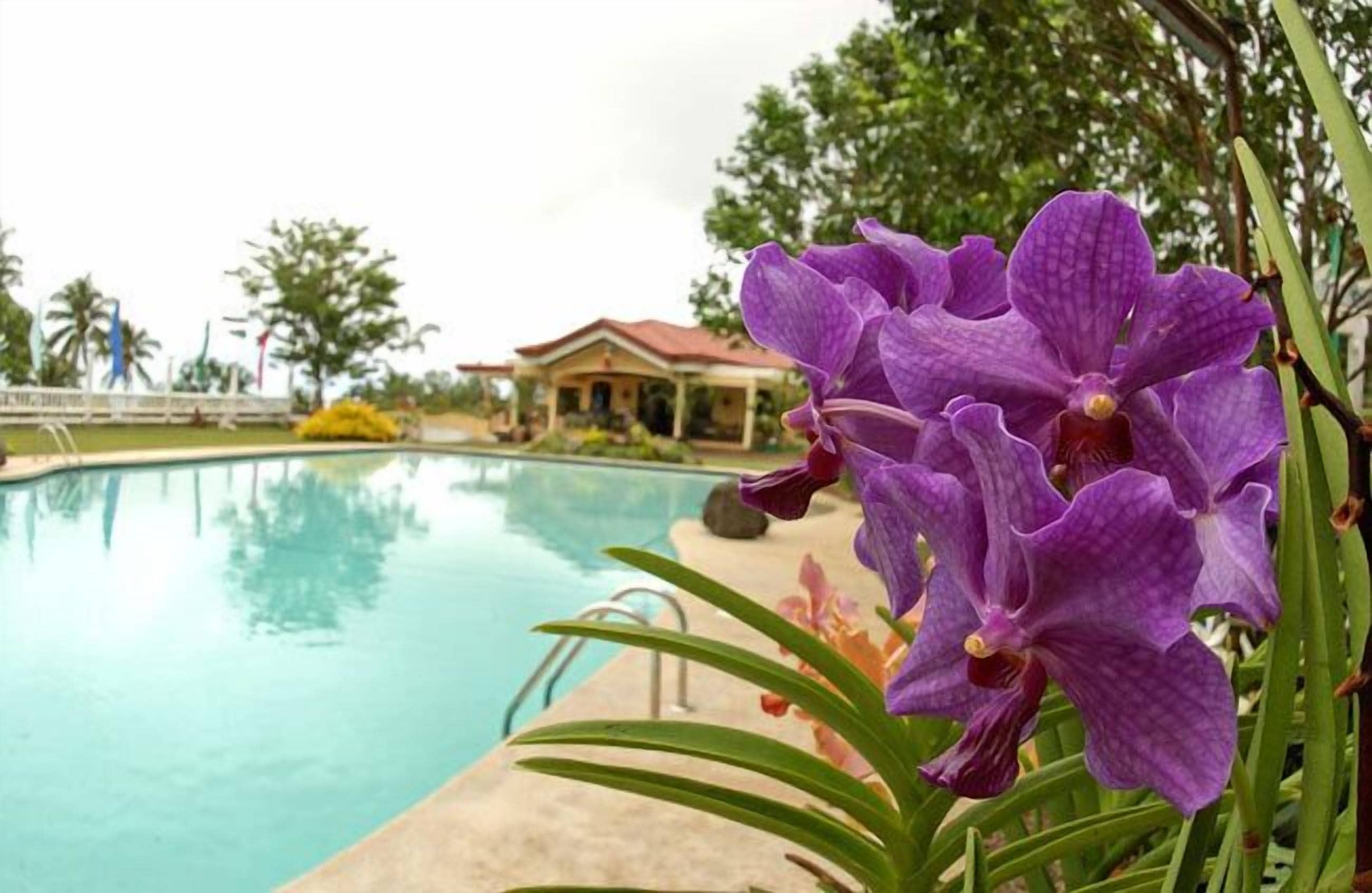A swimming pool with a house in the background.