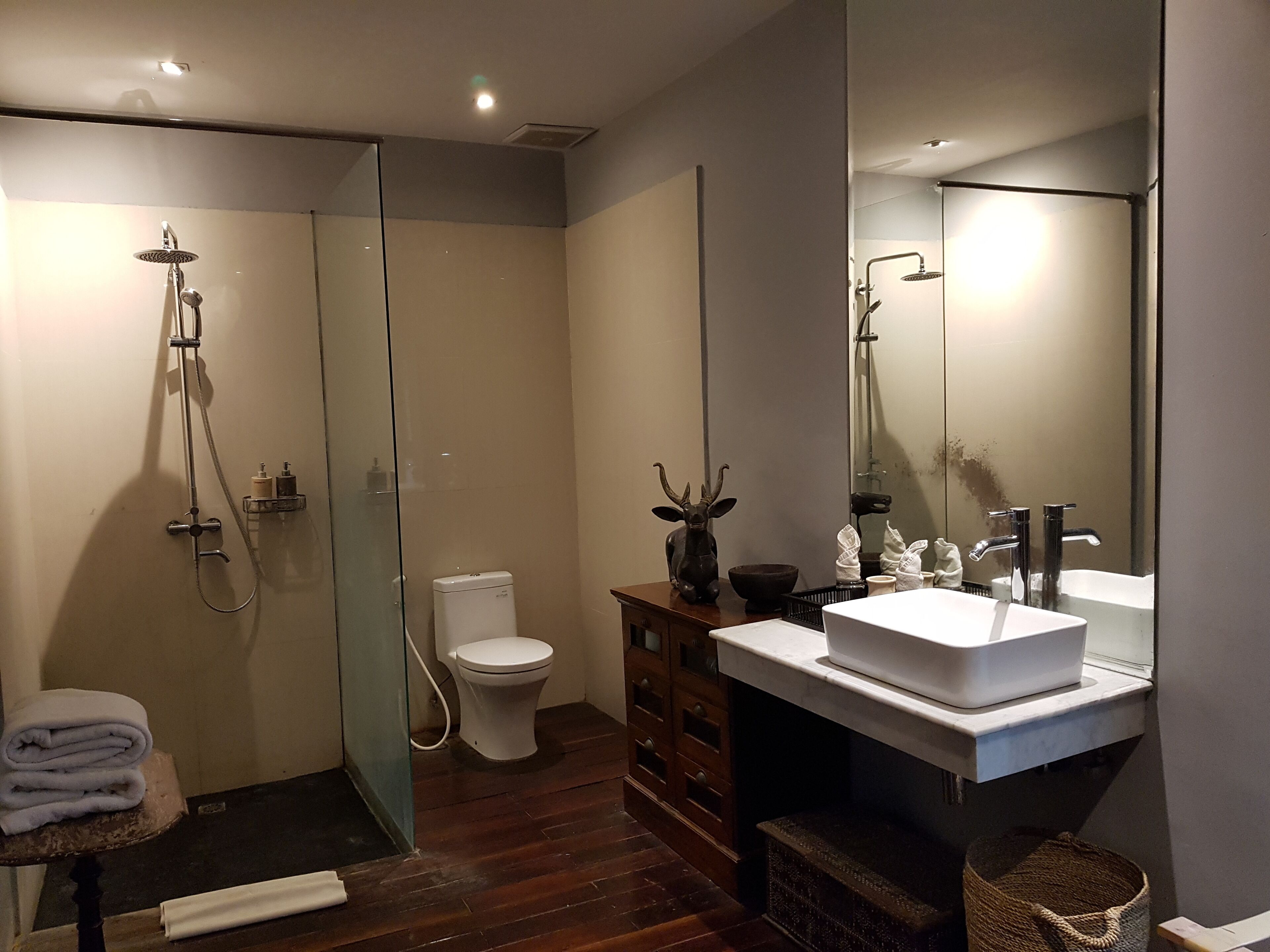 deluxe suite | bathroom | shower, free toiletries, hair dryer, dressing gowns