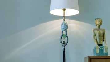 Deluxe Suite | Room amenity