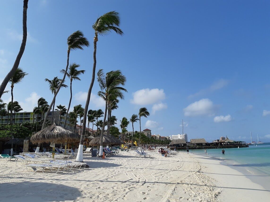 A beach with white sand, palm trees, and a clear blue sky.