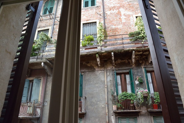 View from room
