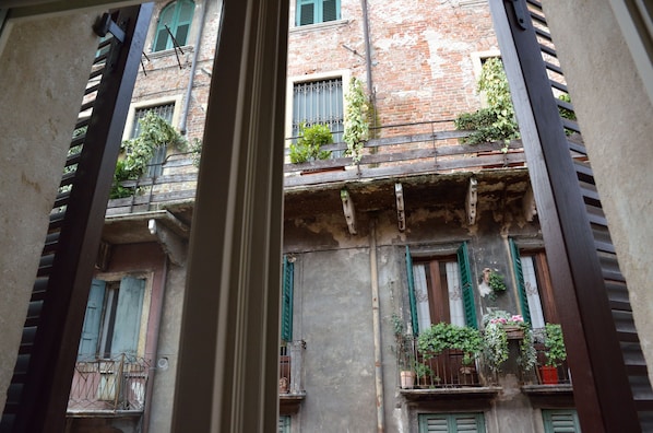 Vista desde la habitación