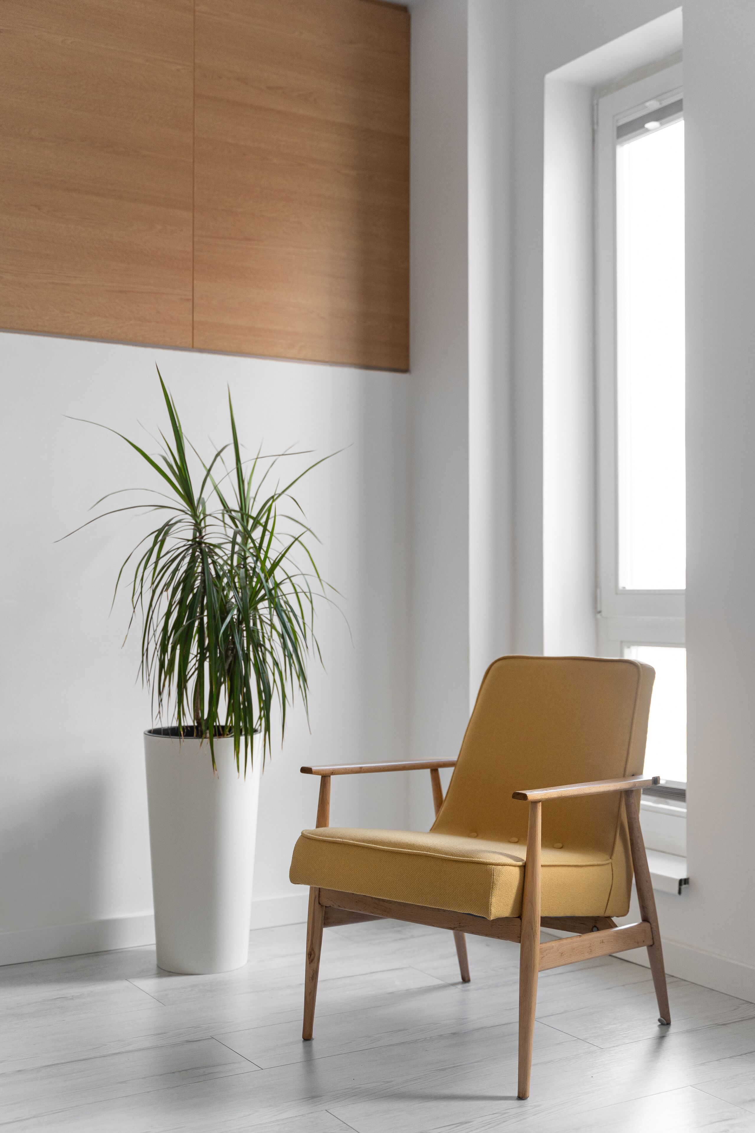 A modern room with a wooden floor, a large potted plant, and a mustard-colored chair near a window.