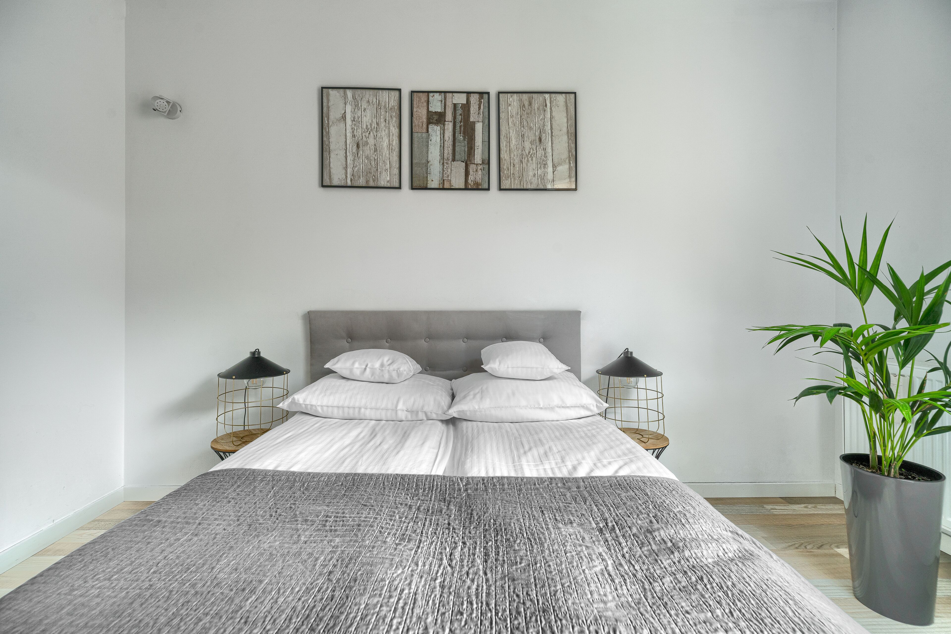 A modern bedroom with a grey headboard, white bedding, and a grey textured rug. There are two bedside tables with lamps, a large potted plant, and three framed artworks on the wall.