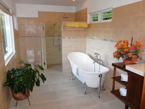 Ein Badezimmer mit Badewanne, Dusche, Toilette und einer Topfpflanze.