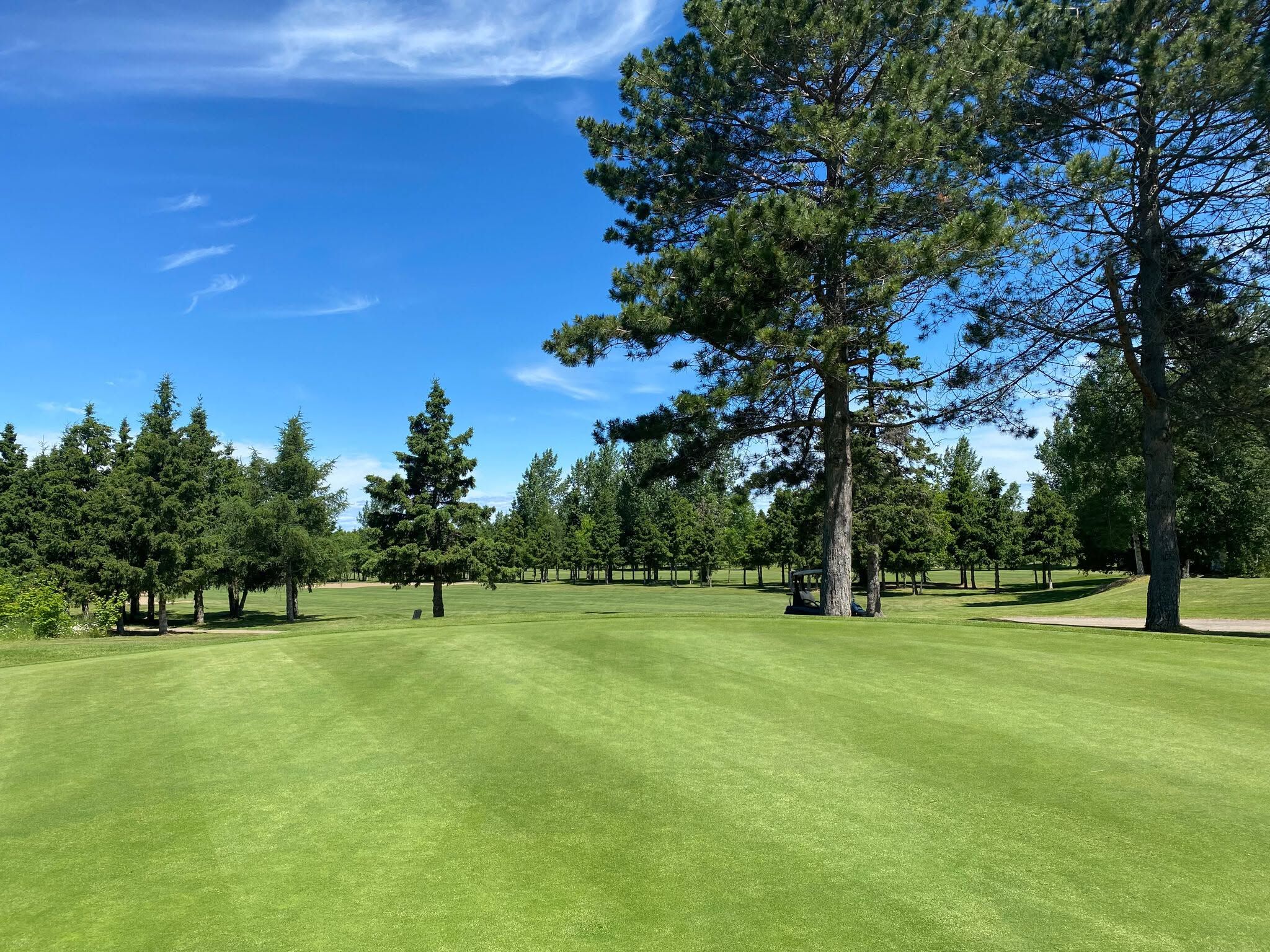 A golf course with a clear sky, well-maintained grass, and a variety of trees.