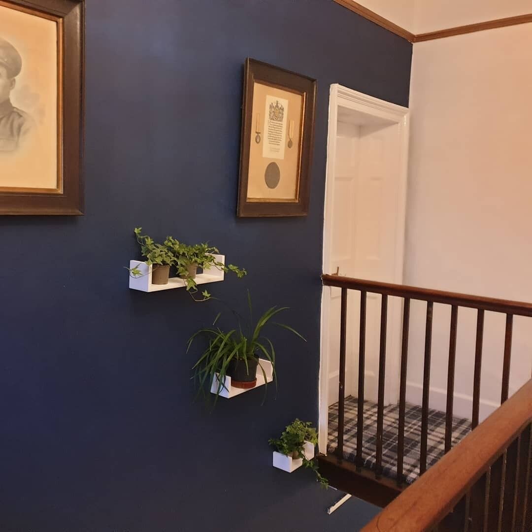 Un escalier avec une main courante en bois et un mur bleu foncé. Sur le mur, on peut voir trois objets encadrés, deux petites étagères avec des plantes et une porte au bas de l’escalier.