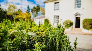 A white building with a front door, surrounded by dense green shrubbery. - Penygelli Country House Apartments (Newtown)