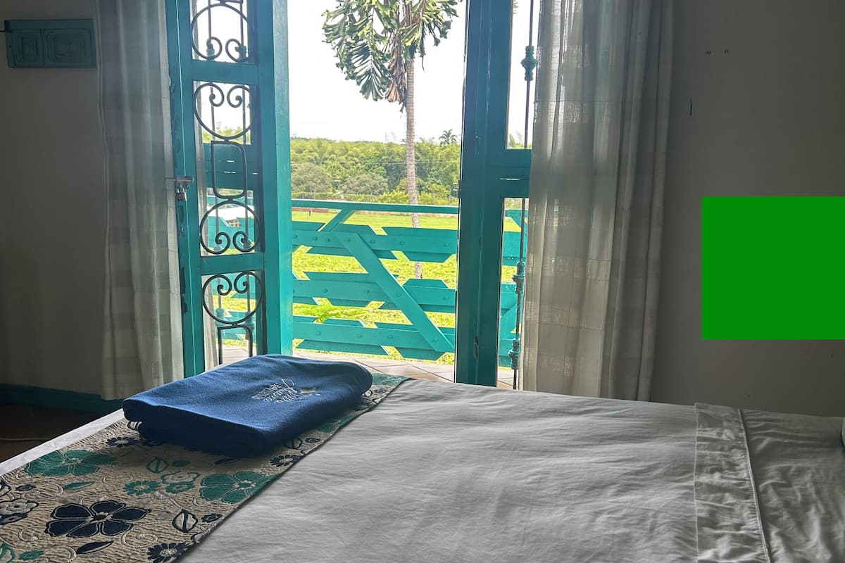 A room with a bed, a blue pillow, and a view of a green landscape through an open door.