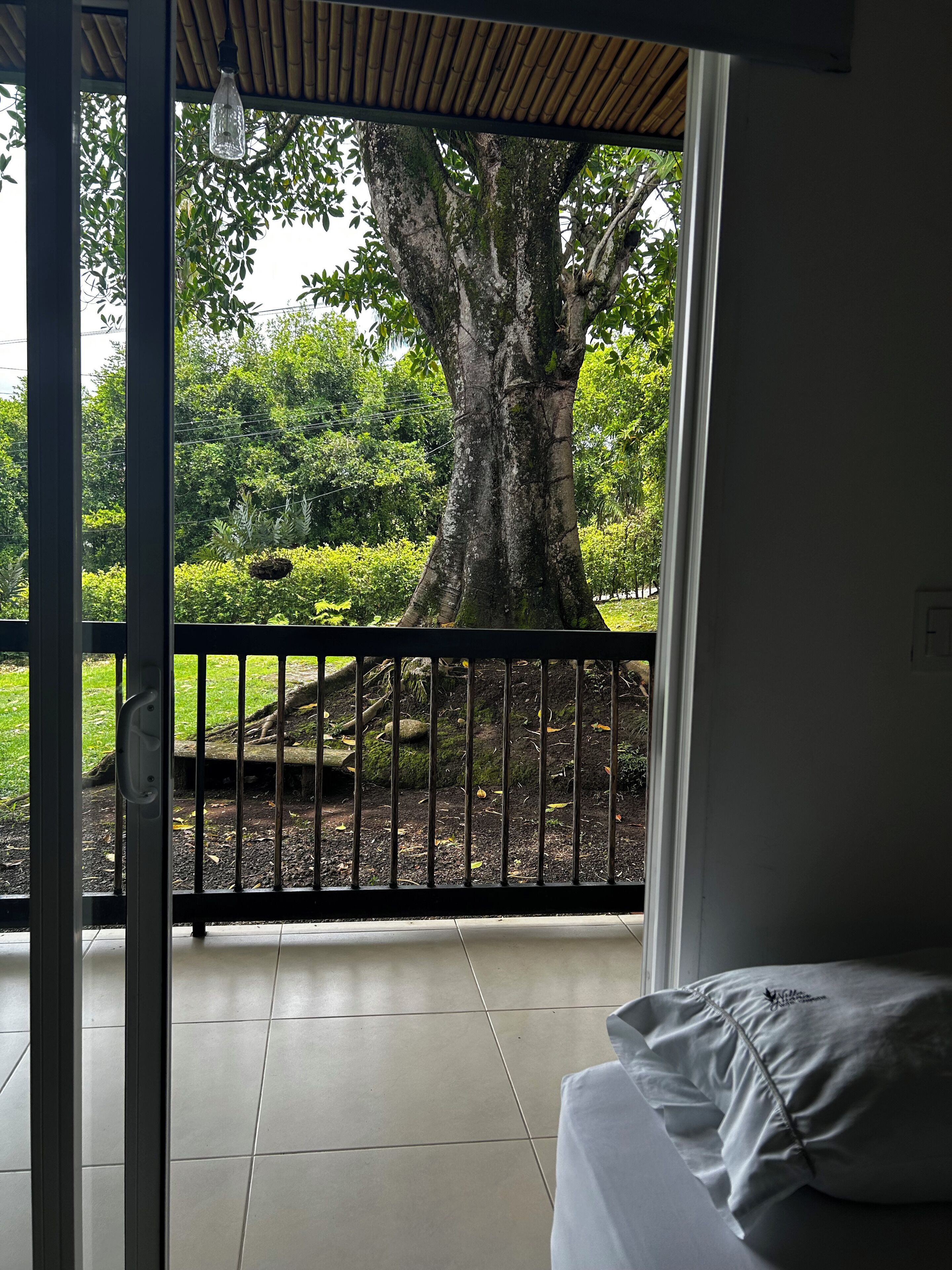 Chambre Quadruple Junior | Vue sur le jardin