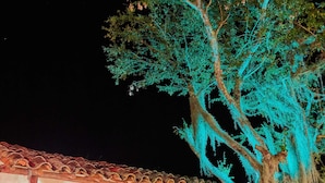 Un bâtiment rustique avec un hamac, un arbre illuminé de lumières bleues et une terrasse carrelée.