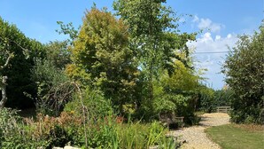 Un jardin avec un étang, entouré de rochers et de plantes, et un sentier qui le traverse.