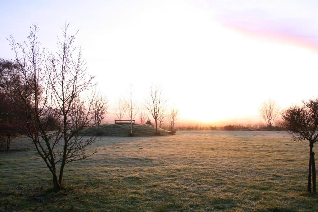 A flat landscape with sparse trees and a distant structure.