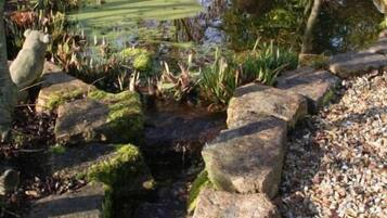 A garden with a pond, stepping stones, and various plants.