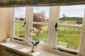 Una ventana con vista a un campo verde y árboles, un jarrón blanco con una planta, y un pequeño recipiente blanco con ramitas de caña.