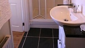 A bathroom with a glass-enclosed shower, a sink, and a mirror.