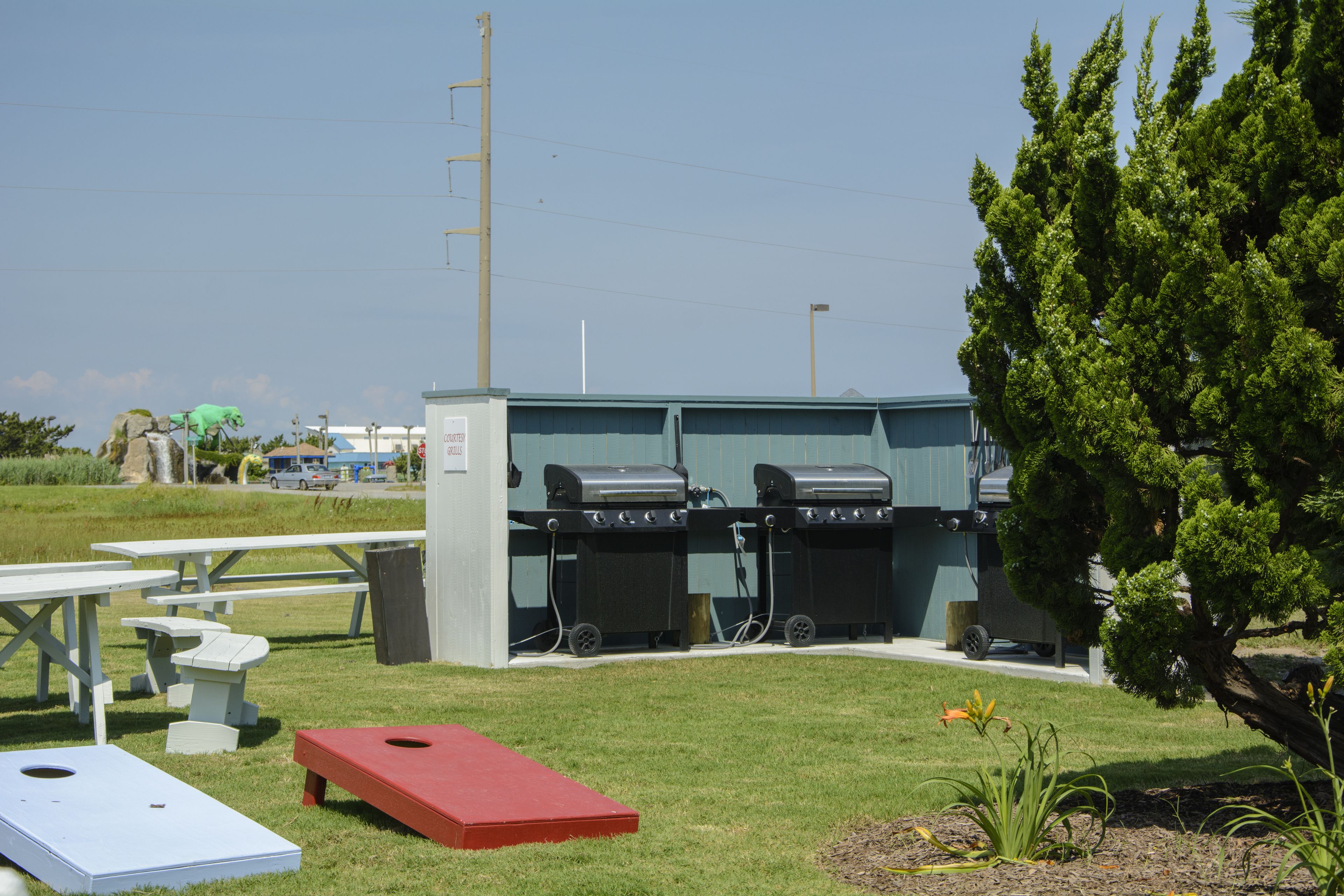 An outdoor area with picnic tables, a red disc golf hole, and barbecue grills.