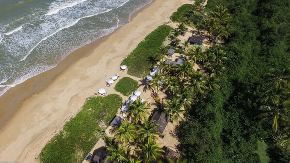 An aerial view of a beach with rows of umbrellas and palm trees, suggesting a resort setting.