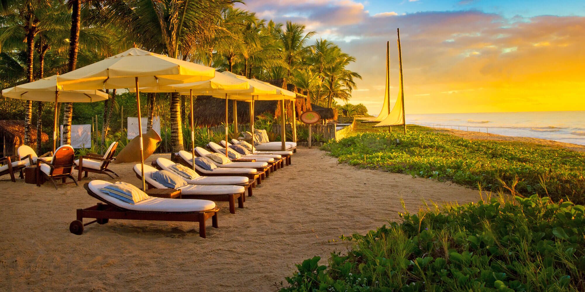 A beachside lounge area with sun loungers and umbrellas, palm trees, and a view of the ocean.