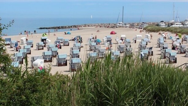 Une plage bordée de rangées de chaises de plage et de parasols, avec des bateaux en arrière-plan et une digue rocheuse.