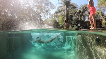 Una piscina al aire libre, sillones reclinables de piscina